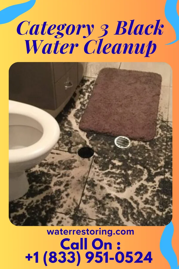 Category 3 Black Water Cleanup in Dobbins Heights, NC