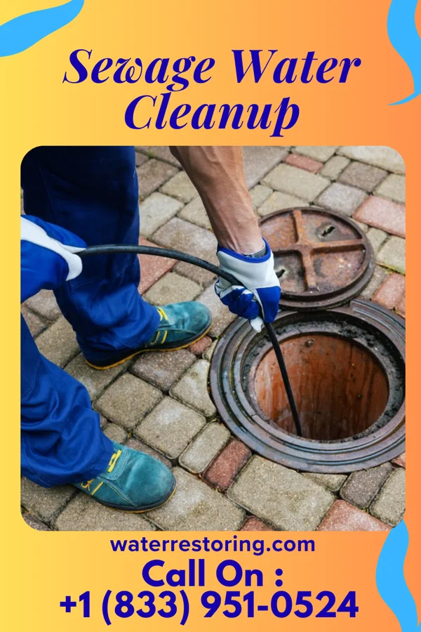 Sewage Water Cleanup in Dobbins Heights, NC